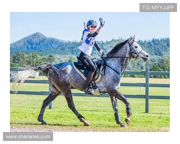 重庆羽毛球队耐力表现分析及其对训练效果的影响探讨 重庆羽毛球队耐力表现分析及其对训练效果的影响探讨